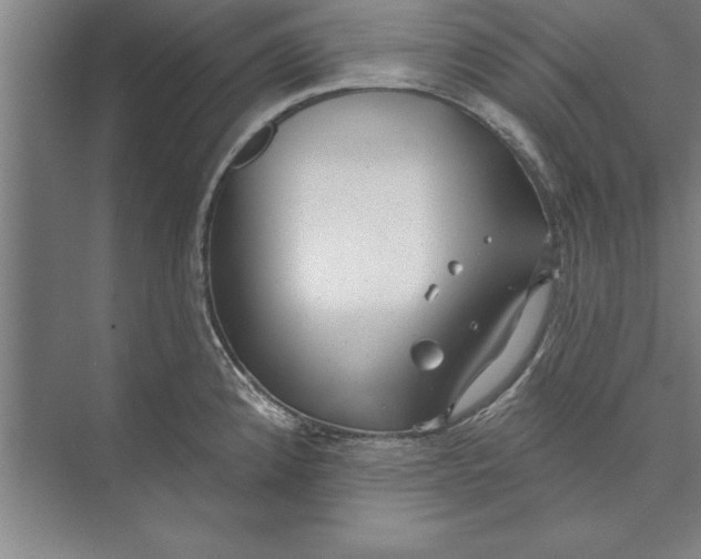 X0000074961192200609221749