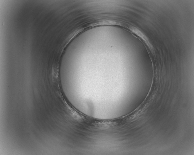 X0000074961193200609221749