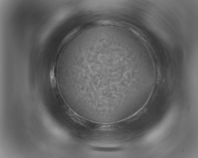 X0000074961198200609221749