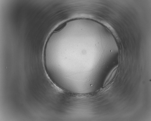 X0000074961199200609221749