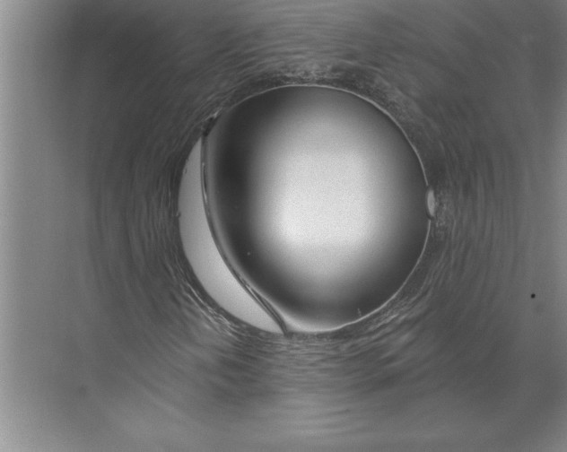 X0000074961202200609221748