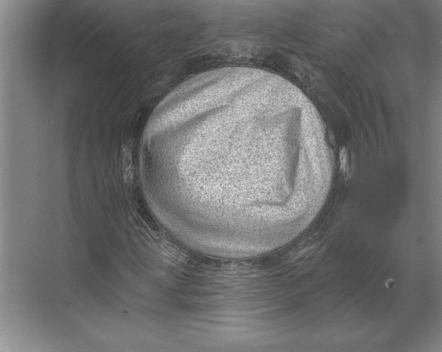 X0000074961203200609221748