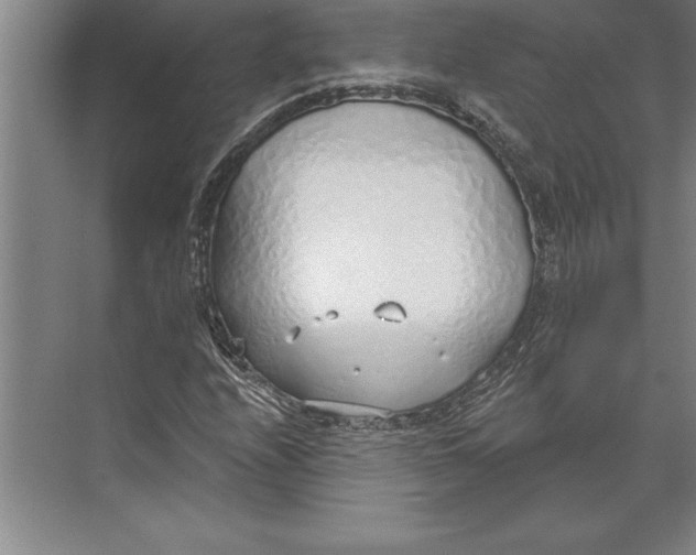 X0000074961208200609221748