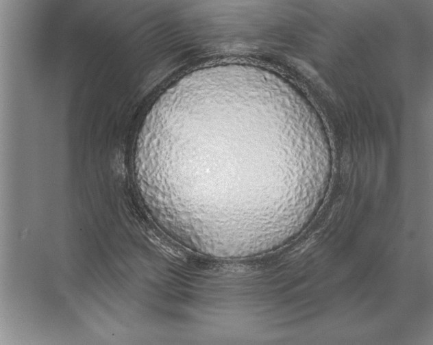 X0000074961209200609221748