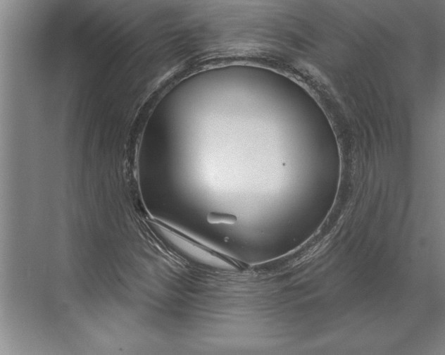 X0000074961210200609221748