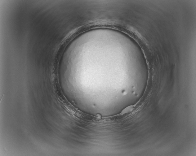 X0000074961213200609221748