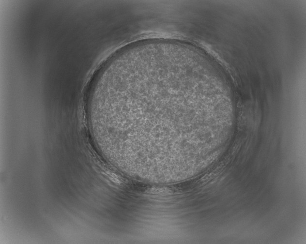 X0000074961215200609221748