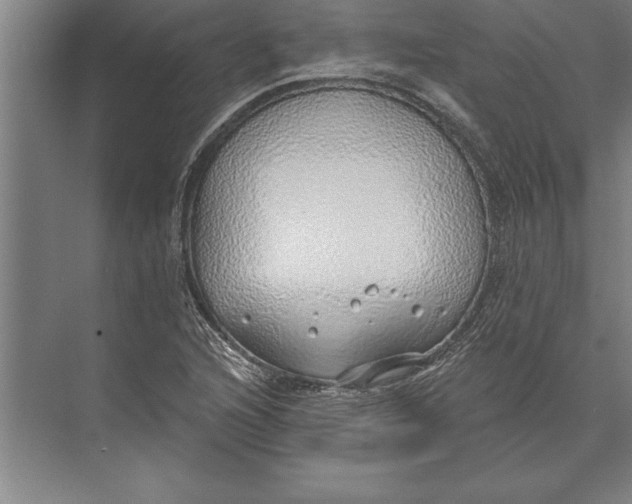 X0000074961216200609221748