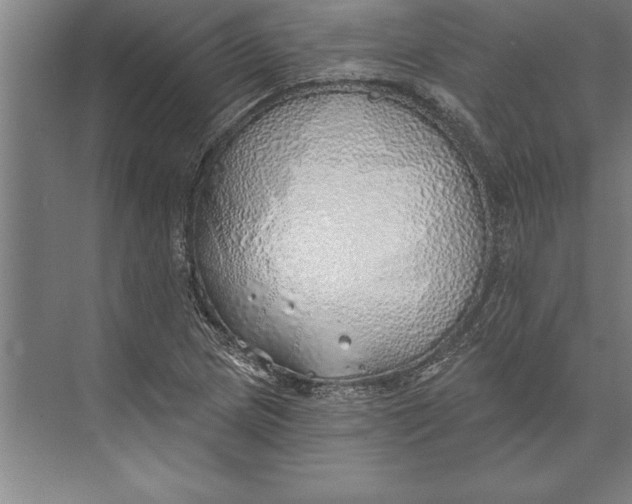 X0000074961217200609221748