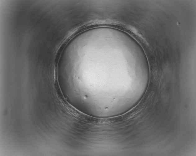 X0000074961221200609221748