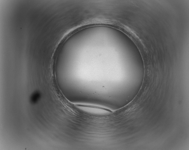 X0000074961222200609221748