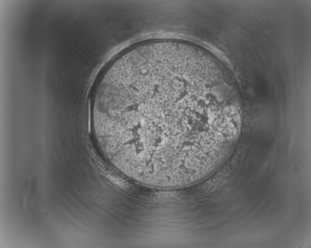 X0000074961223200609221748