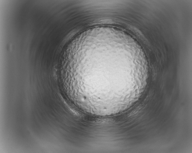 X0000074961225200609221748