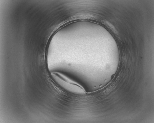 X0000074961226200609221748