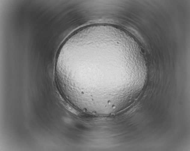 X0000074961228200609221748