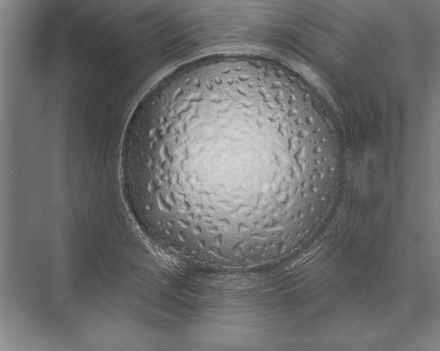 X0000074961229200609221748