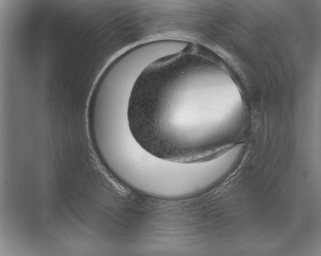 X0000074961230200609221748