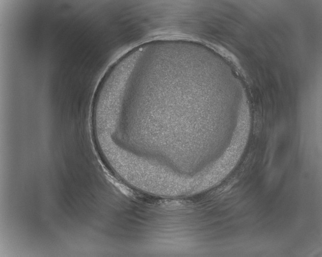 X0000074961231200609221748