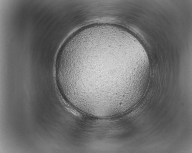 X0000074961232200609221748