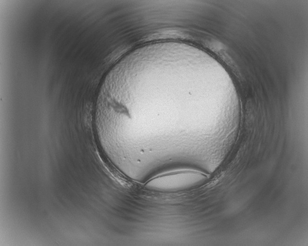 X0000074961233200609221748