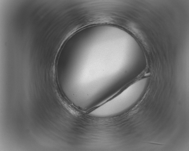 X0000074961234200609221748