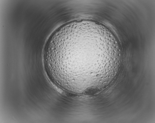 X0000074961235200609221748