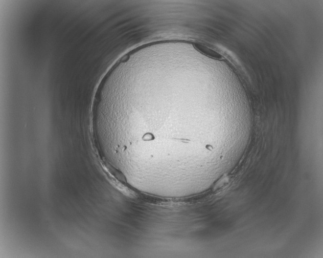 X0000074961236200609221748