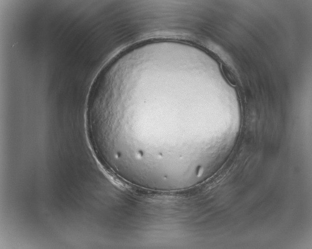 X0000074961237200609221748