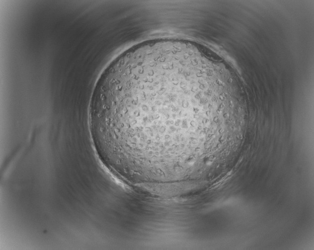 X0000074961239200609221749