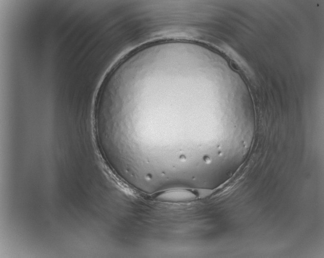 X0000074961240200609221749