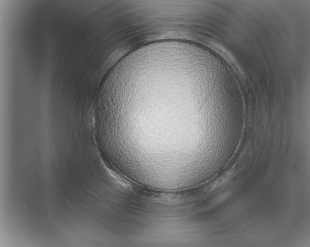 X0000074961241200609221749