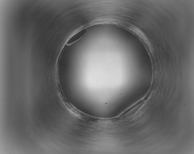 X0000074961242200609221749