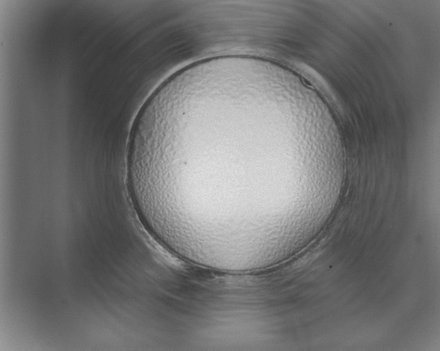 X0000074961244200609221749