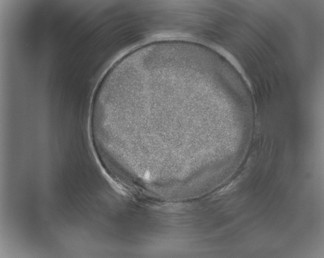 X0000074961245200609221749