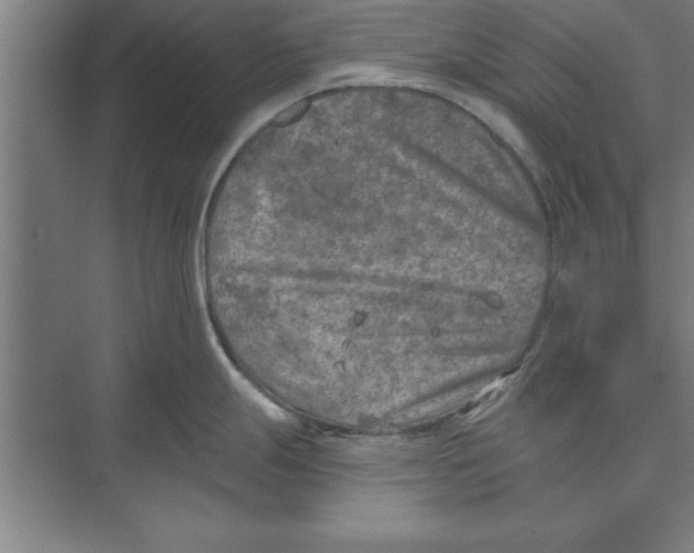 X0000074961247200609221749