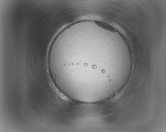 X0000074961248200609221749