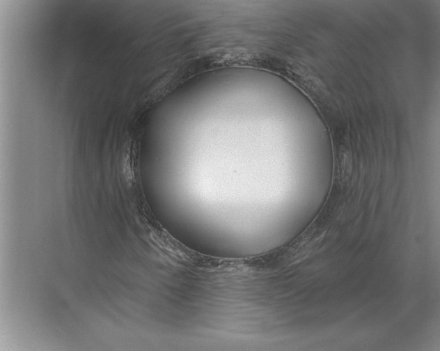 X0000074961250200609221748