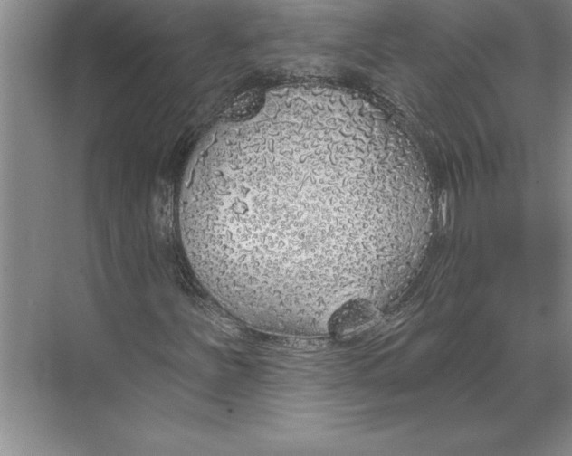 X0000074961251200609221748