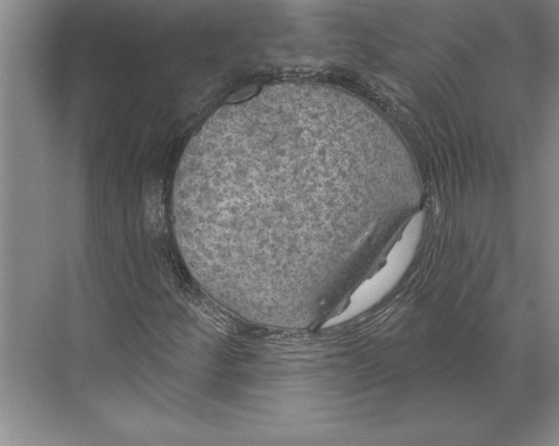 X0000074961252200609221748