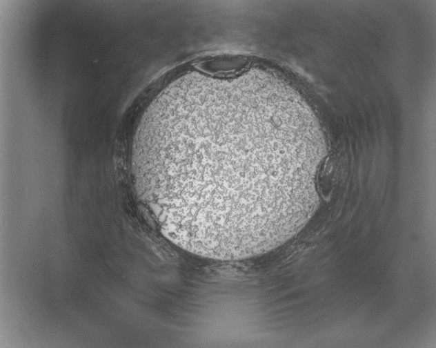 X0000074961255200609221748