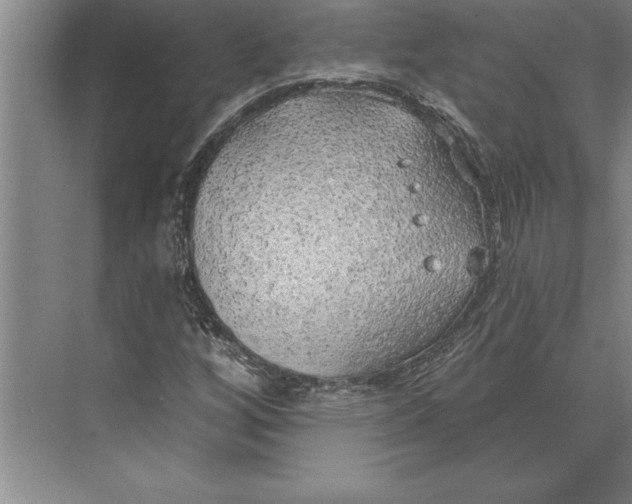 X0000074961256200609221748