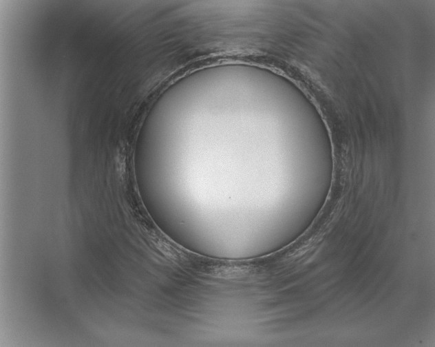 X0000074961257200609221748