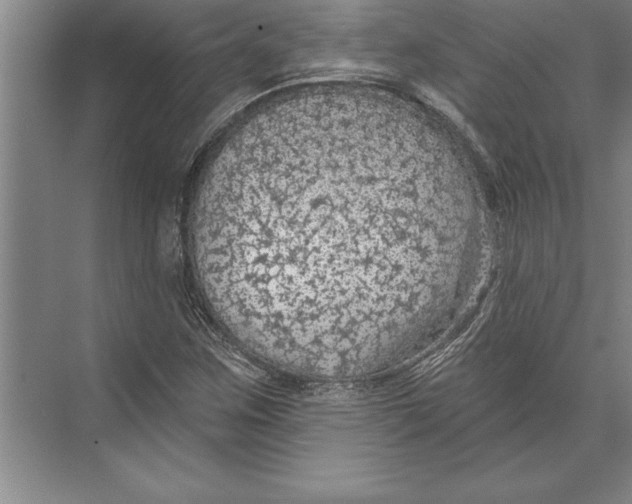 X0000074961259200609221748