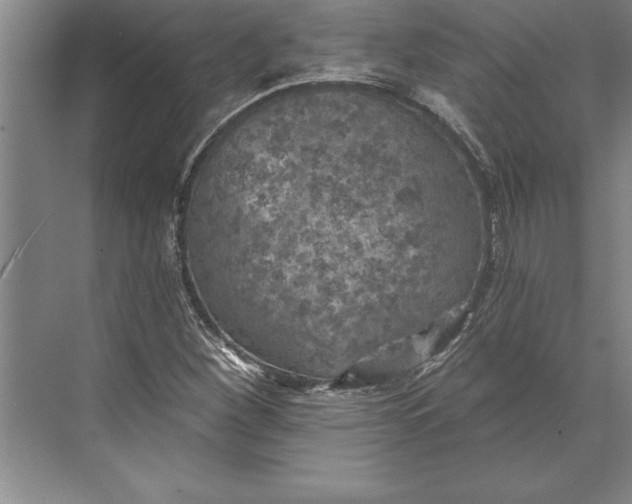 X0000074961260200609221748