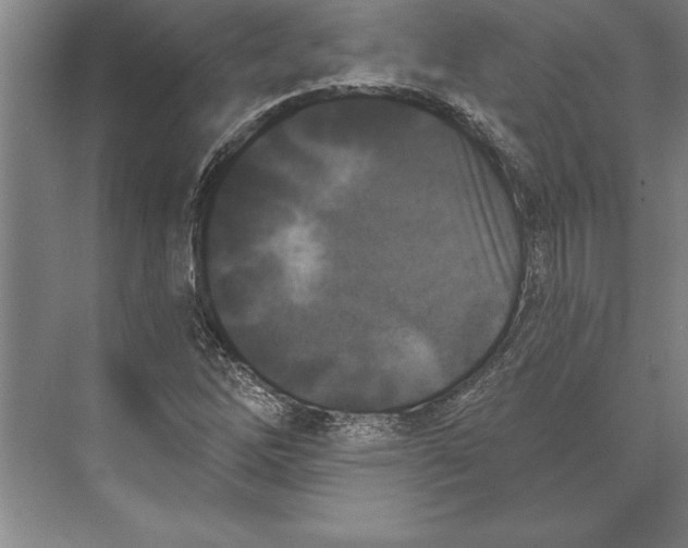 X0000074961262200609221748