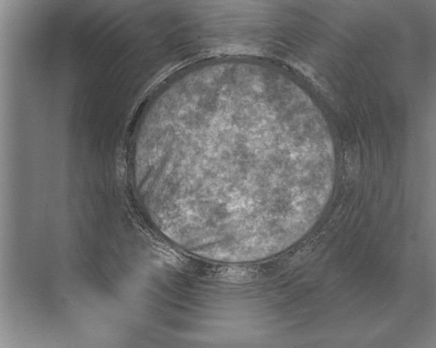 X0000074961266200609221748