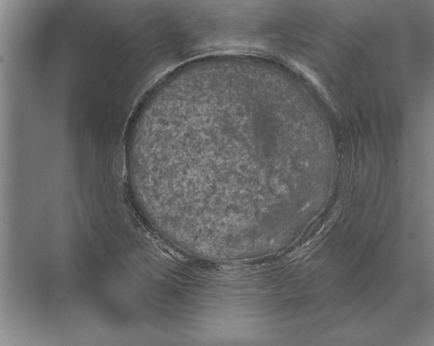 X0000074961267200609221748