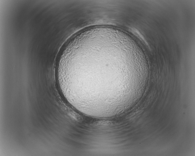 X0000074961268200609221748