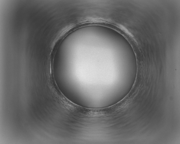 X0000074961269200609221748