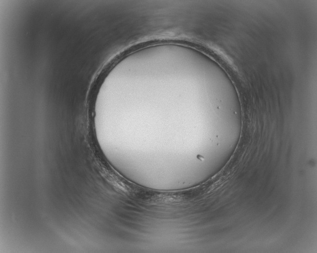 X0000074961270200609221748